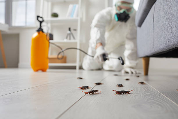 Post-Treatment Bed Bug Interceptor Monitoring in Omega