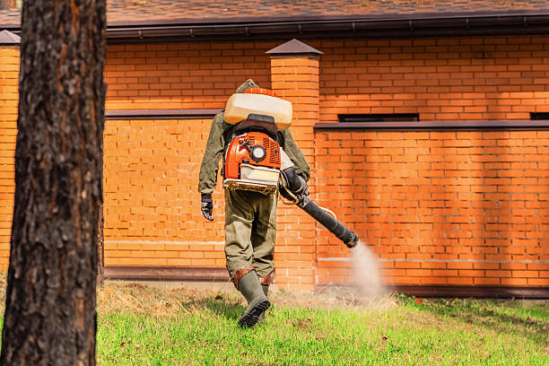 Bed Bug Clearance Verification and Documentation in Omega